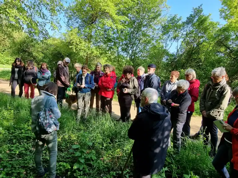 Sorties découvertes 2023