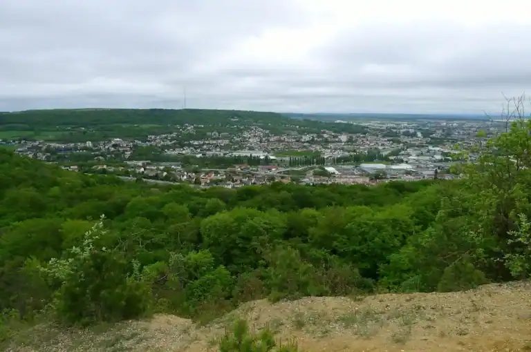 La forêt de Haye et ses points de vue