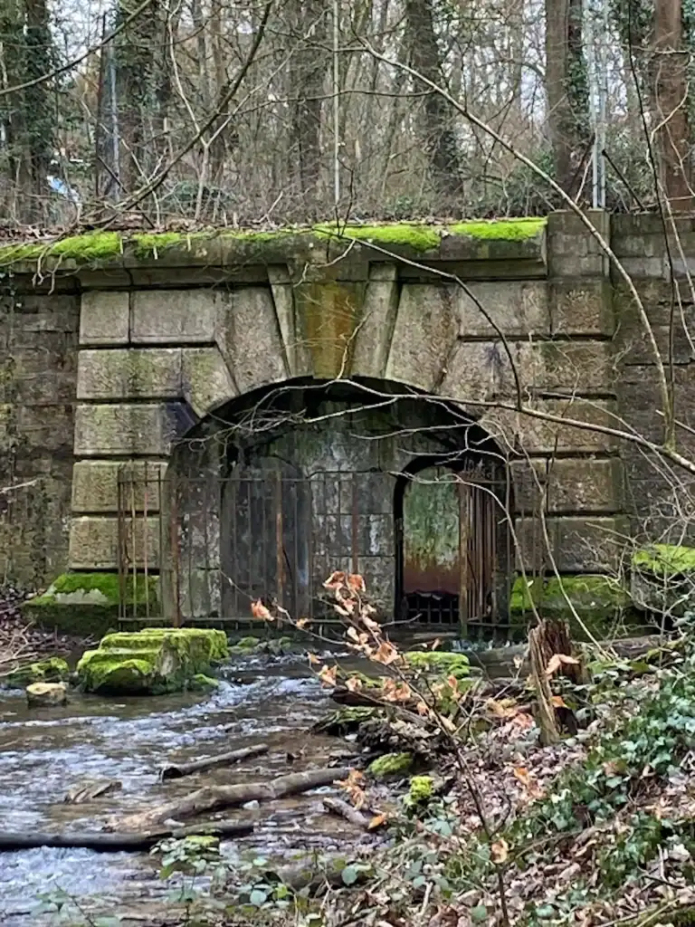 Source de l’Asnée