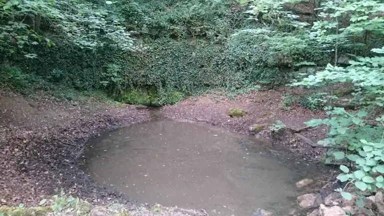 La source de la Vaux de Clef