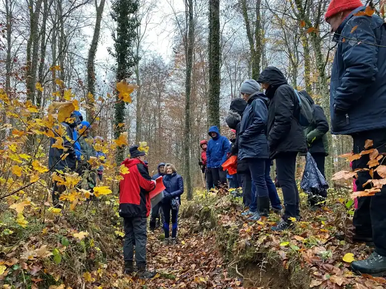 Voie romaine et autres vestiges romains (Forêt domaniale)